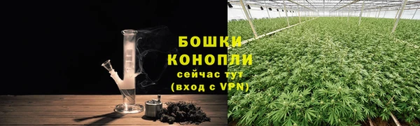 стафф Богданович