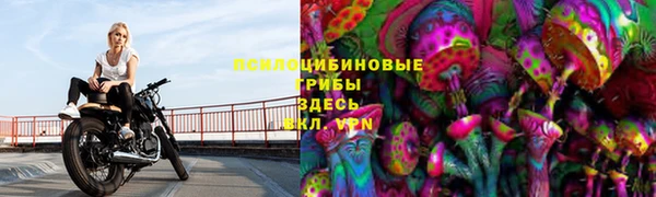 винт Богородицк