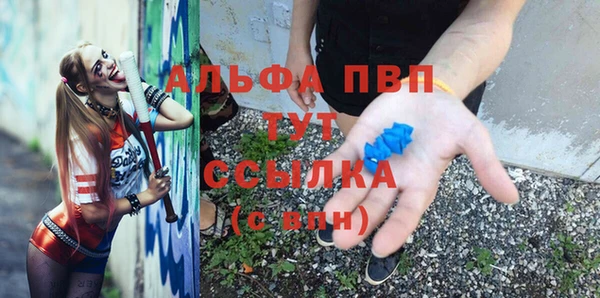стафф Богданович
