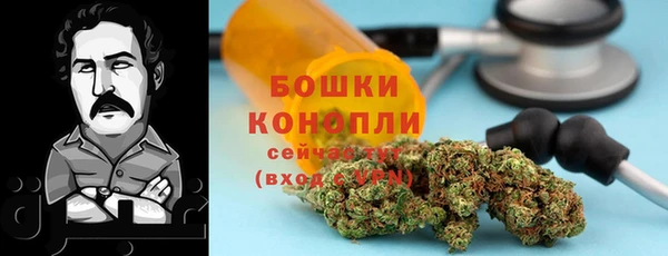 стафф Богданович