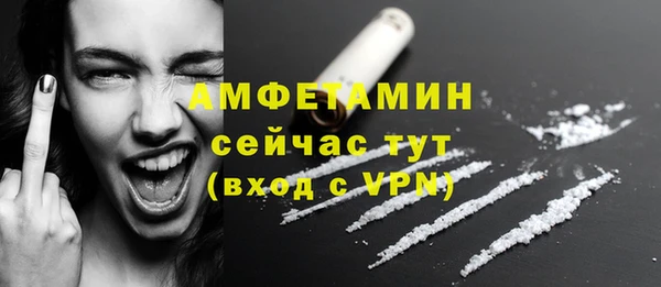 стафф Богданович