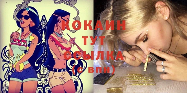 стафф Богданович