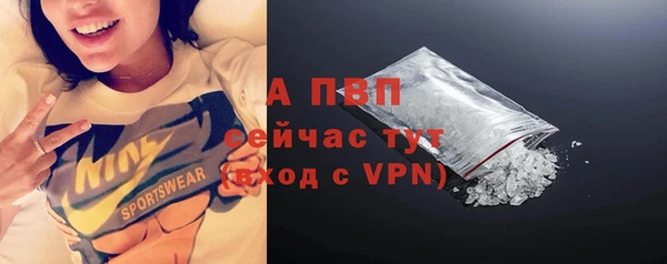 стафф Богданович