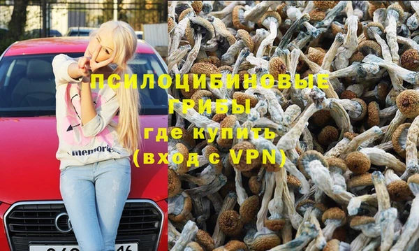 стафф Богородск