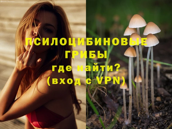 винт Богородицк