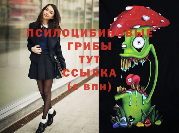 стафф Богородск