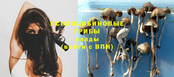 стафф Богородск