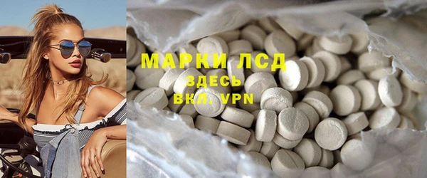твердый Козельск