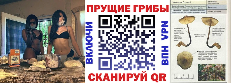 нарко площадка Telegram Кола Псилоцибиновые грибы мухоморы